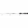 Daiwa Ballistic LTD Big Bait 2,55 Meter 50-110 G